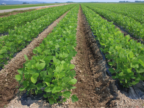 私たちの長期ビジョン