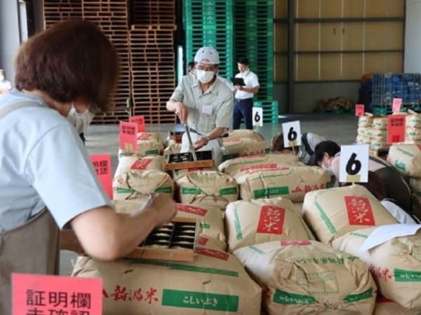 JAえちご中越　なんかん南営農センター（三条エリア）
