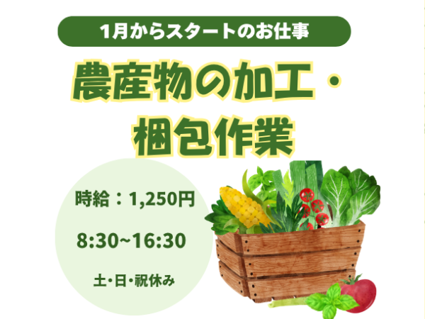 【1月からスタート】特別な経験は一切不要！ブロッコリーを洗って切って詰めるだけのシンプル軽作業♪