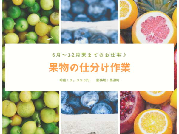 ☆未経験大歓迎☆年齢不問!!6月~12月までのお仕事♪
