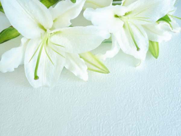 人を想う心を形にし、つなぐ