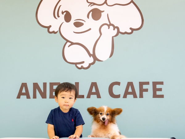 私たちが願うのは、
すべての犬・猫たちが愛されること