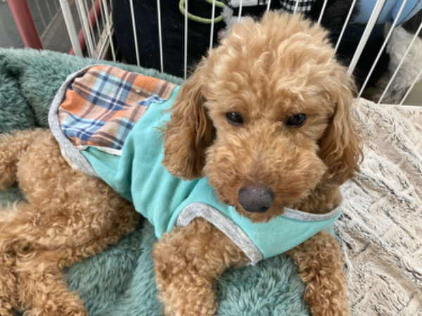  Q．働くうえで心がけていることは何ですか？