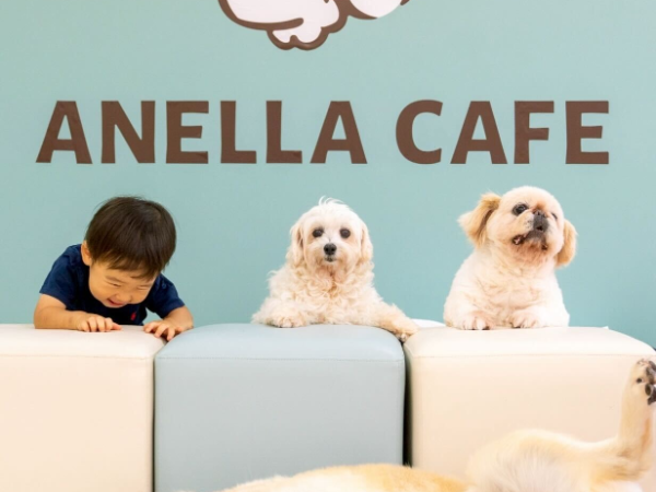 私たちが願うのは、
すべての犬・猫たちが愛されること