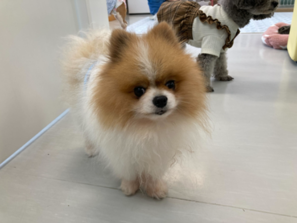 Q．入社理由を教えてください