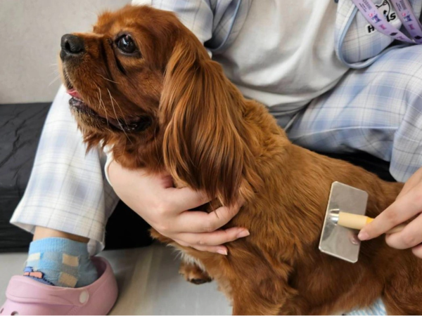 人はもちろん、犬・猫たちとの
コミュニケーションを大切にしています