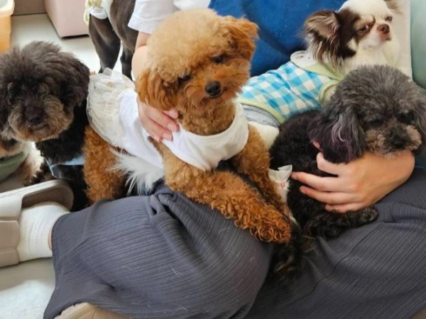 人はもちろん、犬・猫たちとの
コミュニケーションを大切にしています