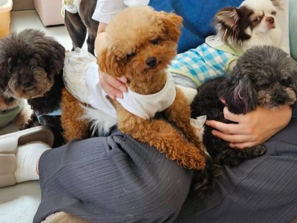 ビジネスとして展開することで未来を切り拓く