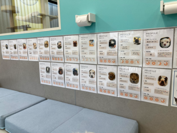 Q．現在の業務内容を教えてください