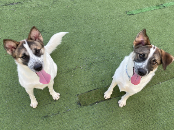 Q．求職者へのメッセージ