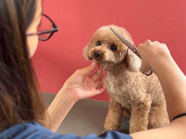 Q．働くうえで心がけていることは何ですか？