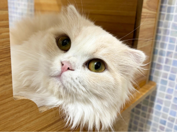 人はもちろん、犬・猫たちとの
コミュニケーションを大切にしています