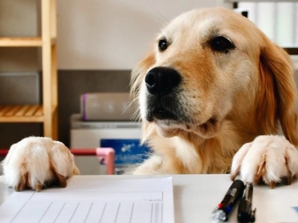 経験豊富な先輩スタッフのサポートで
安心して経験を積んでいただけます