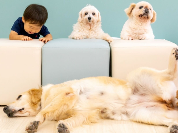 私たちについて