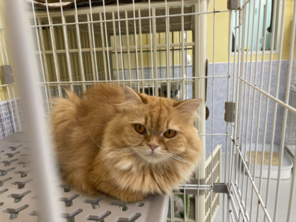 Q．仕事のやりがいは？