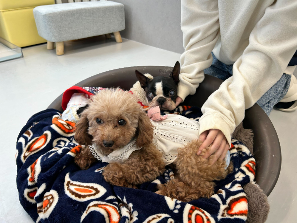 日々の業務がやりがいに