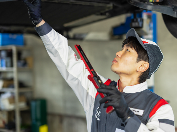 制度・環境・文化