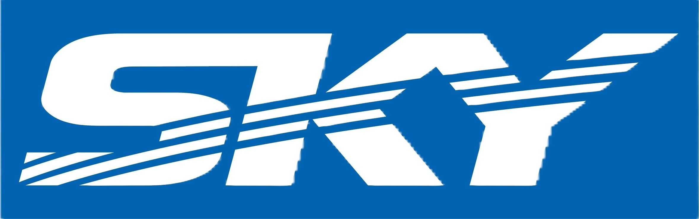 株式会社SKY