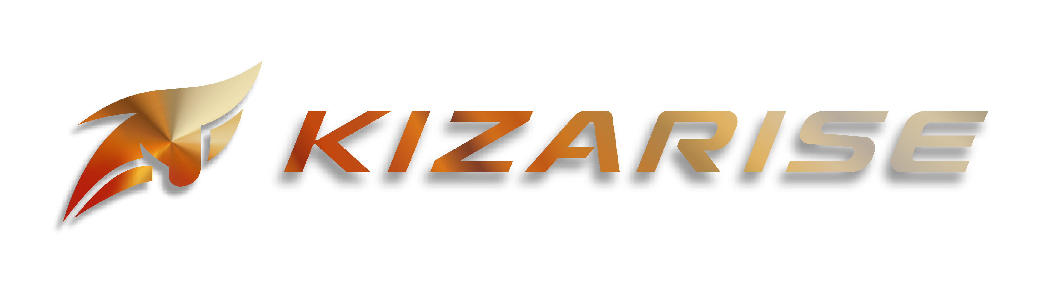 株式会社KIZARISE