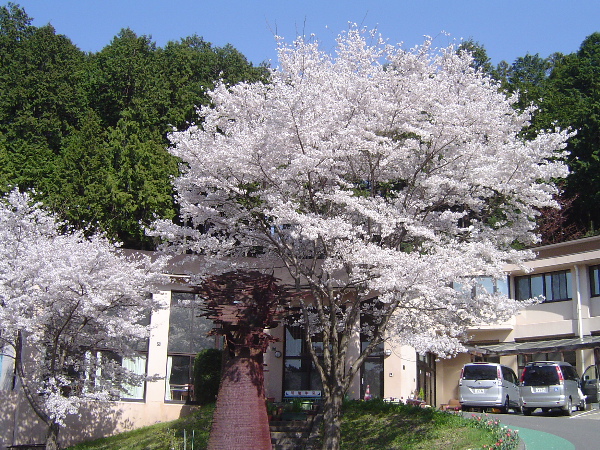 私たちについて