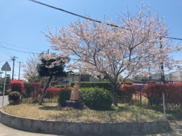 【オンライン】職場説明会