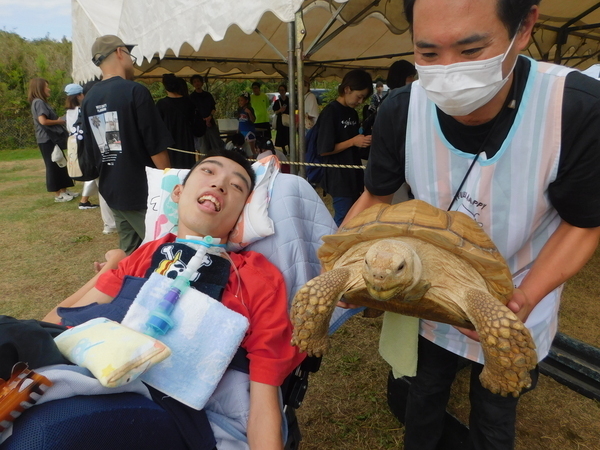 仕事の内容について