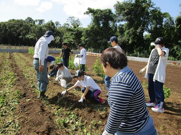 目標ややりがいは入社してから見つければいい。