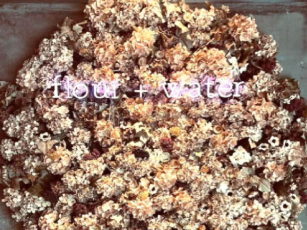 26年6月新規オープン 話題のベーカリーレストラン ＜flour+water 吉祥寺＞にて、 オープニングホールスタッフを募集します！ 未経験からスタート可能／月給40万円も目指せる／ボーナス年2回／連休取得可能／髪色自由◎