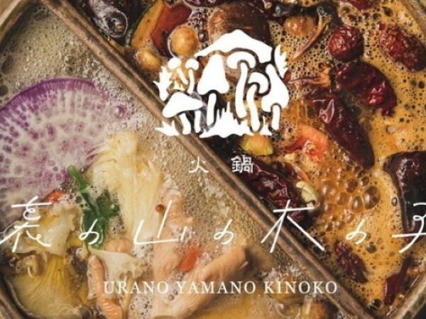 料理長・料理長候補【裏の山の木の子 渋谷店】