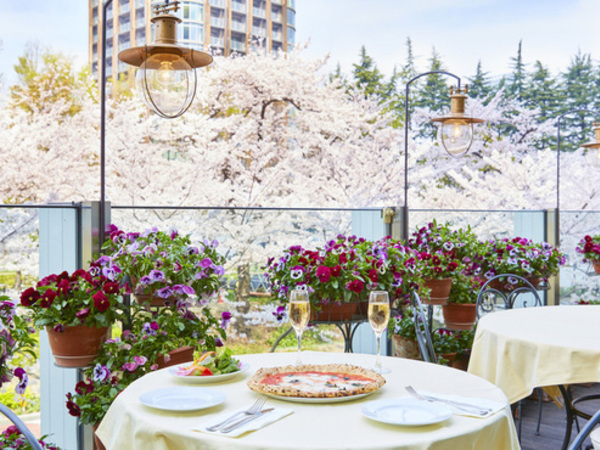 【正社員｜キッチンスタッフ募集】＼大会で連続入賞者を輩出！／ナポリ職人が焼き上げる本格ピッツァ×南イタリアの郷土料理をご提供★六本木駅直結で通勤便利！◆月8日休◆各種社会保険完備◆一緒にお店を創っていきましょう！