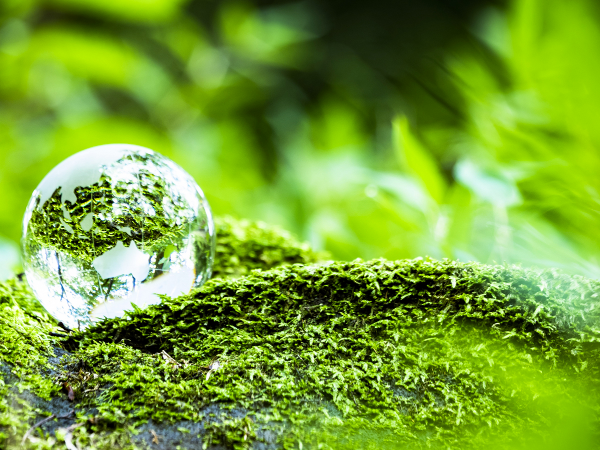 公平でチャンスの多い人事評価制度