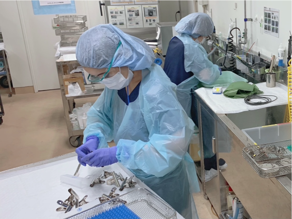 協力しながら仕事を進めます