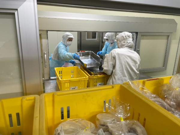 メンバー構成は?