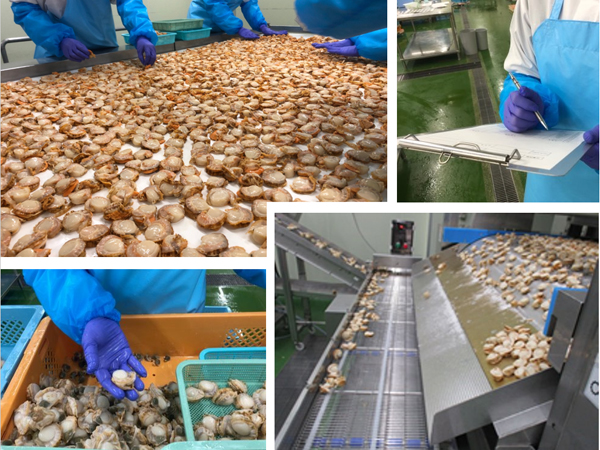 朝番フルタイムの平均的1日の流れ