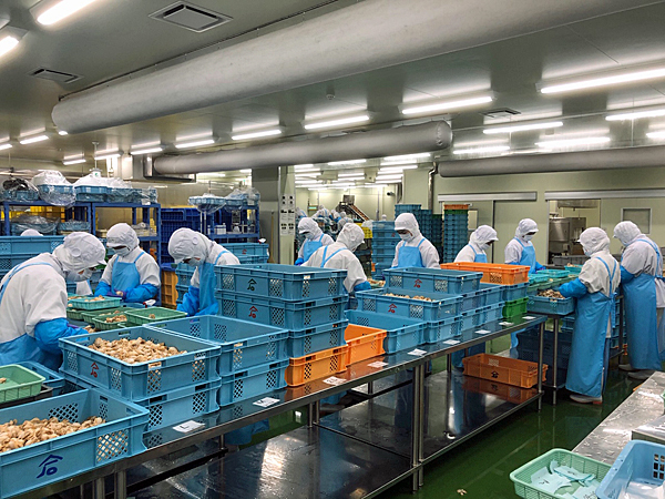 勤務先はキレイな新工場