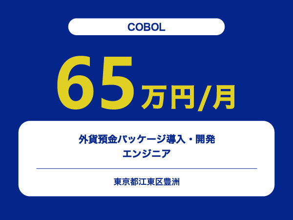 ★【~65万円/フリーランス】≪COBOLエンジニア≫外貨預金パッケージ導入・開発※30～50代活躍中!!