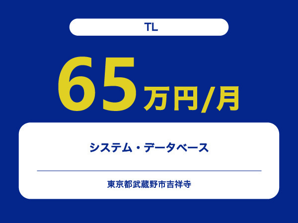 ★【~65万円/フリーランス】≪TL≫システム・データベース※30～50代活躍中!!