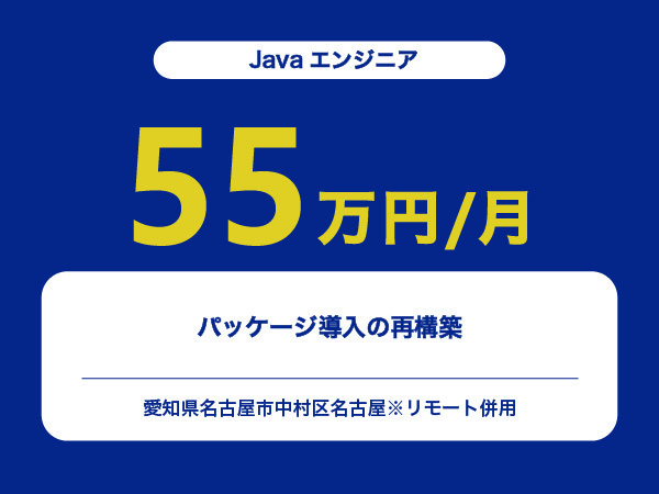 ★【~55万円/フリーランス】≪Javaエンジニア≫パッケージ導入の再構築※30～50代活躍中!!