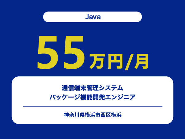 ★【~55万円/フリーランス】≪Javaエンジニア≫通信端末管理システムのパッケージ機能開発※30～50代活躍中!!