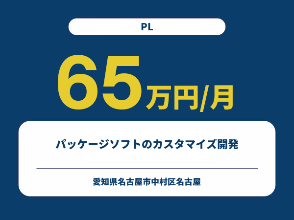 ★【~65万円/フリーランス】≪PL≫パッケージソフトのカスタマイズ開発※30～50代活躍中!!
