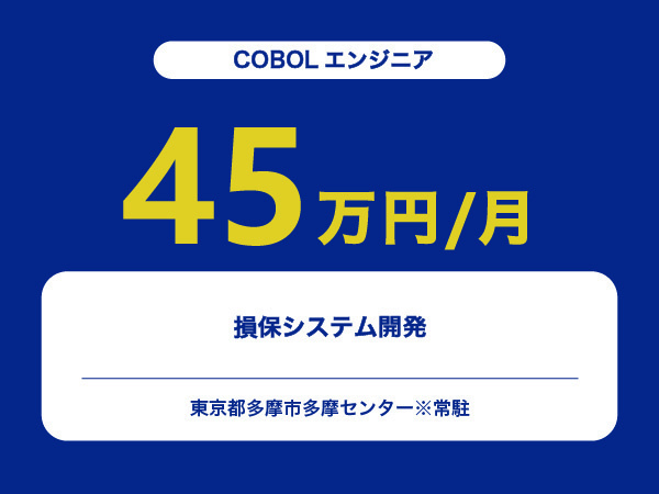 ★【~45万円/フリーランス】≪COBOLエンジニア≫損保システム開発※30～50代活躍中!!