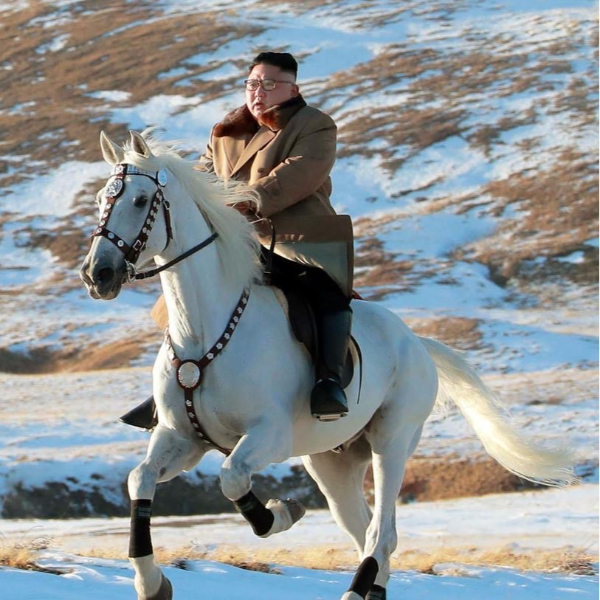 ミスタータイヤマンnメニュー 【プラン特典】  ■特別価格にて/テスト太郎メニュー 【プラン特典】  ■特