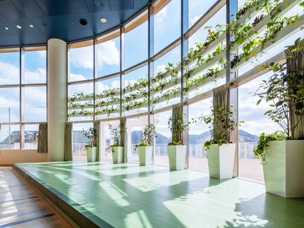 新分園は安佐南区上安にある介護老人保健
施設ベルローゼに隣接して開園