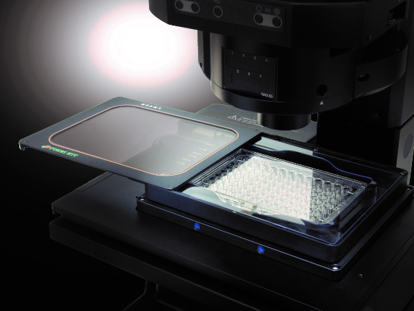 入社の動機を教えて下さい。