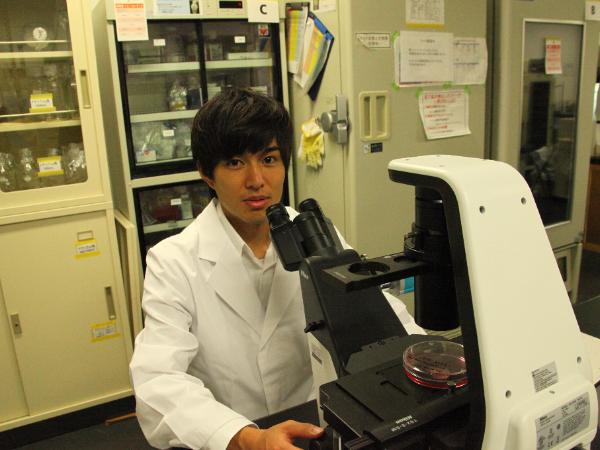 国内大学への出向・キャリアと資格支援