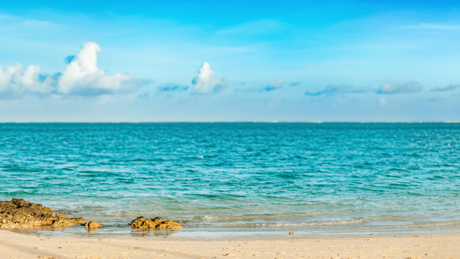 テスト株式会社