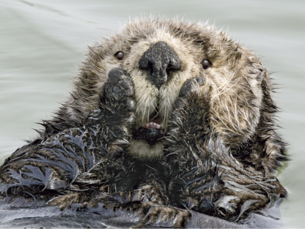 私たちについて