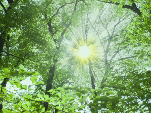 SDGs 社会貢献活動